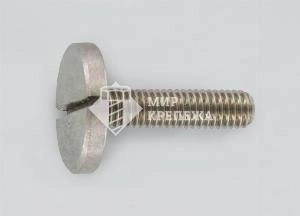 Винт DIN 921 М 2х2,5 А2