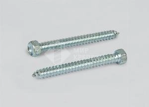 Саморез DIN 7976 4,2х19 оц