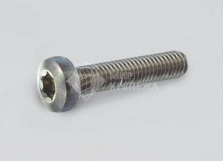 Винт DIN 7985 М 6х30 А2 TORX