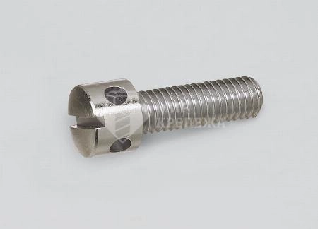 Винт DIN 404 М 3х5 А2