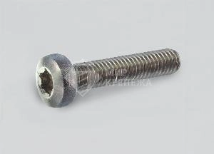 Винт DIN 7985 М 8х20 А2 TORX