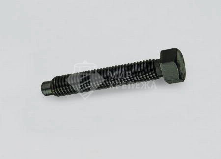 Винт DIN 561 М 30х100 8,8 А