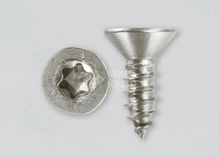 Саморез DIN 7982 3,9х13 А2 TORX