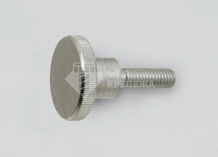 Винт DIN 464 М 4х5  А2