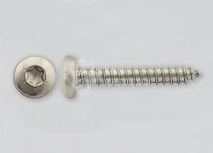 Саморез DIN 7981 3,5х9,5 А2 TORX