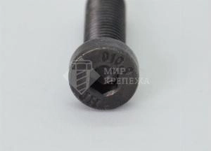 Винт DIN 6912 М 24х40 10,9 б.п.