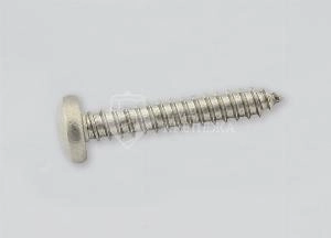 Саморез DIN 7981 2,9х9,5 А2 TORX