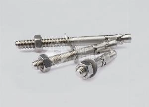 Анкер клиновой  BZ plus 8-30-41/95 A4