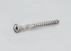 Саморез DIN 96 6х35 A2