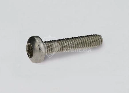Винт DIN 7500C М 5х10 А2 ТХ25