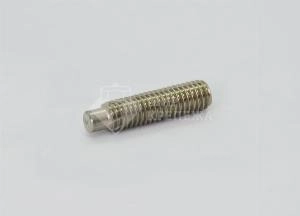 Винт DIN 915 М 10х30 А2