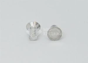 Заклепка DIN 661 5х30 алюм.