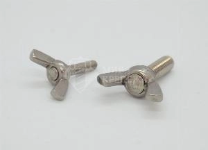 Винт DIN 316 М 12х30 A4