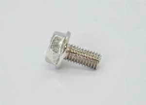 Болт DIN 6921 М 6х10 А4