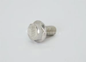 Болт DIN 6921 М 6х10 А4