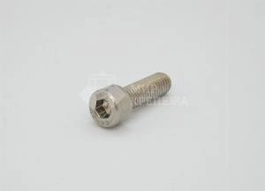 Винт DIN 912 М 6х16 А2 TORX