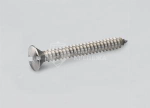 Саморез DIN 7973 3,5х38 A2