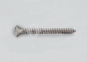 Саморез DIN 7983 4,2х25 Torх А2