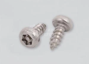 Саморез DIN 7981 4,2х25 А2 TORX+PIN