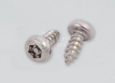 Саморез DIN 7981 4,2х32 А2 TORX+PIN