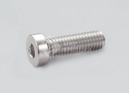 Винт DIN 7984 М 5х25 А2 TORX