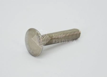 Болт DIN 603 М 16х45 А2