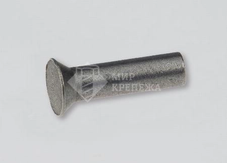 Заклепка ГОСТ 10300 20х55 сталь