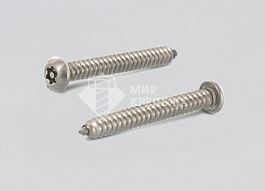 Саморез WS 9120 4,2х19 А2 TORX